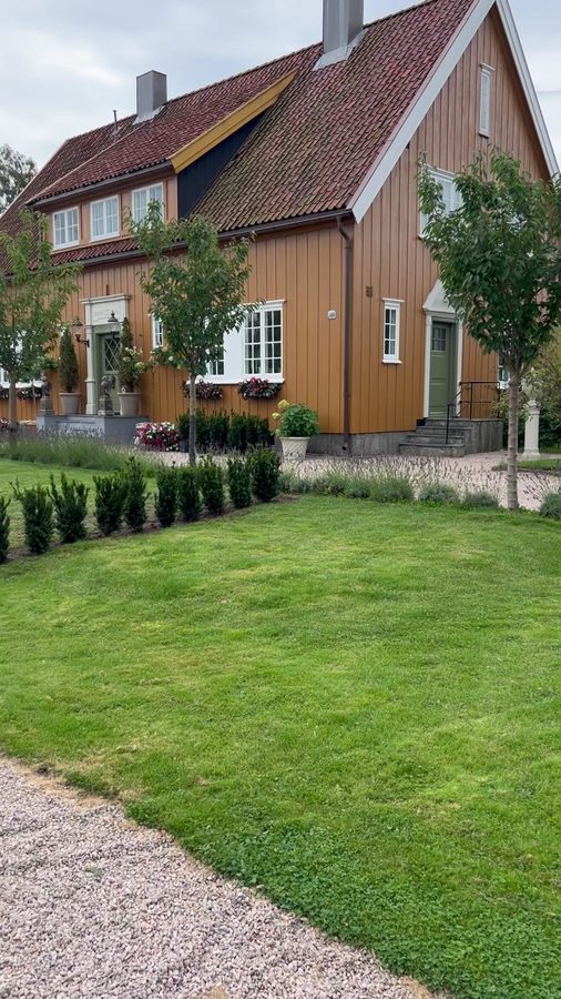 Ubearbeidet tomt med gammelt frukttre før hageanlegget er påbegynt