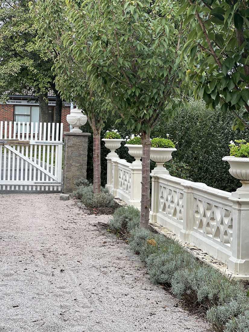 Hvit balustrade med oliventrær og lavendel langs innkjørselen til et ferdigstilt hageanlegg