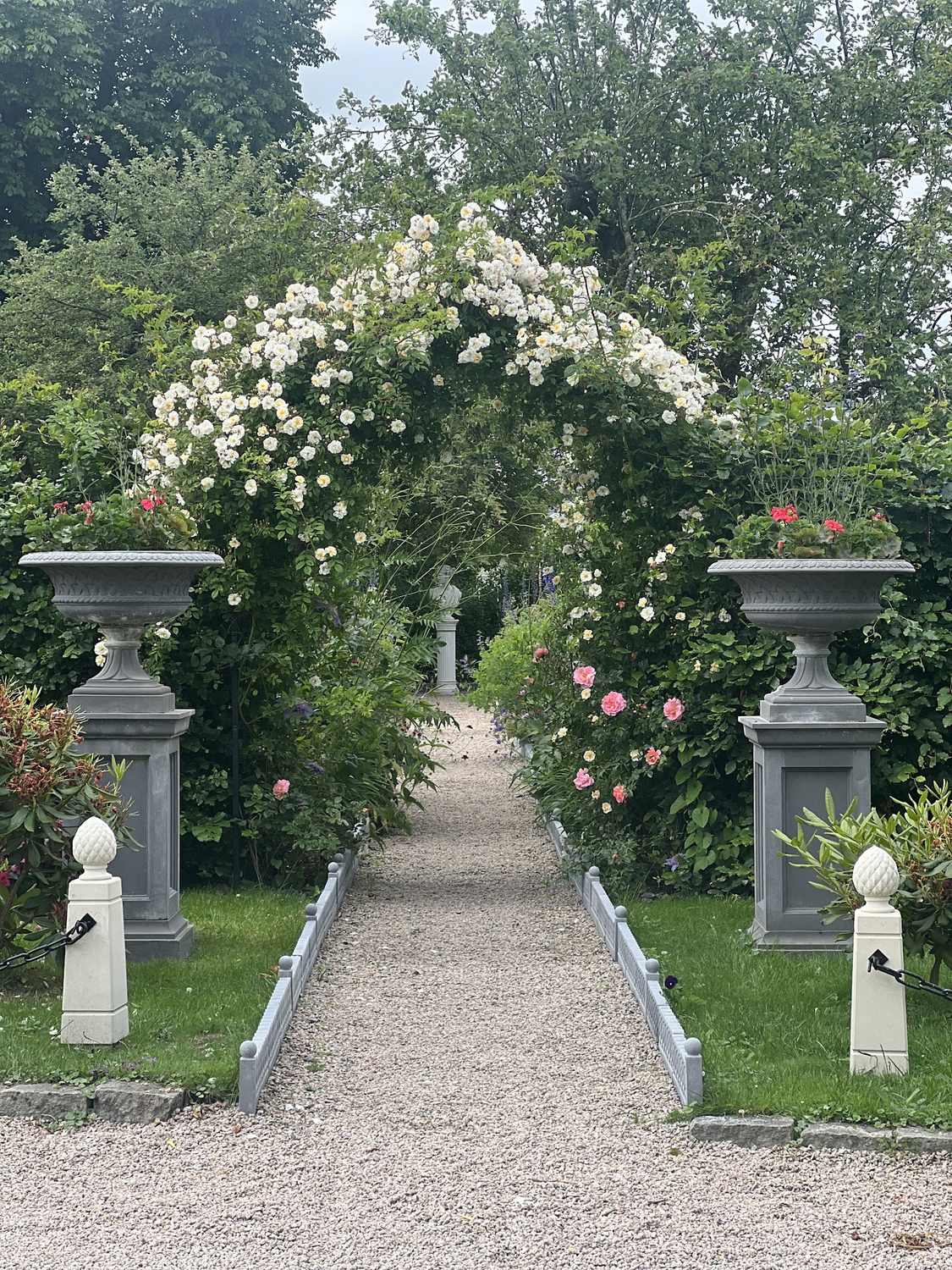 Roseportal i full blomst med hvite roser over en grusgang i visningshagen